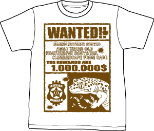 �q���E�����g�J�Q���h�L�s�V���c